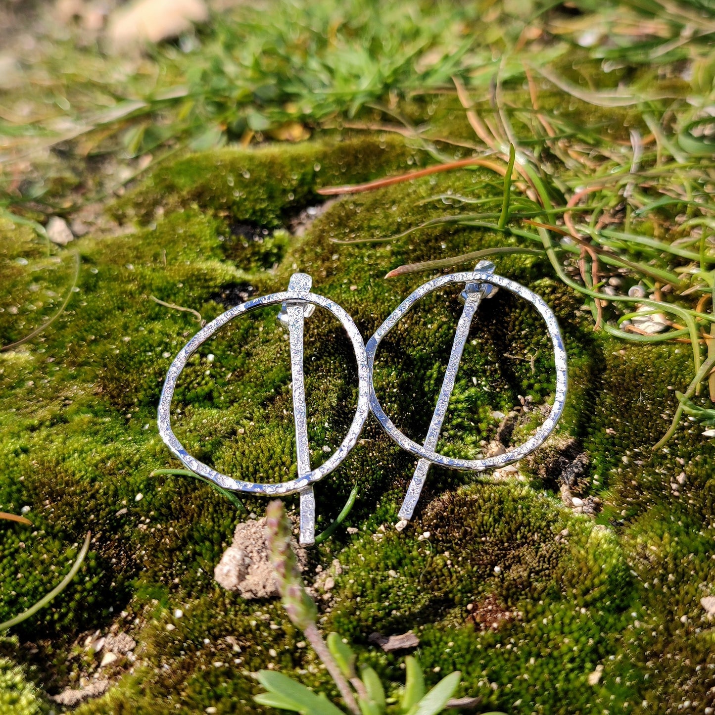 OIDIS